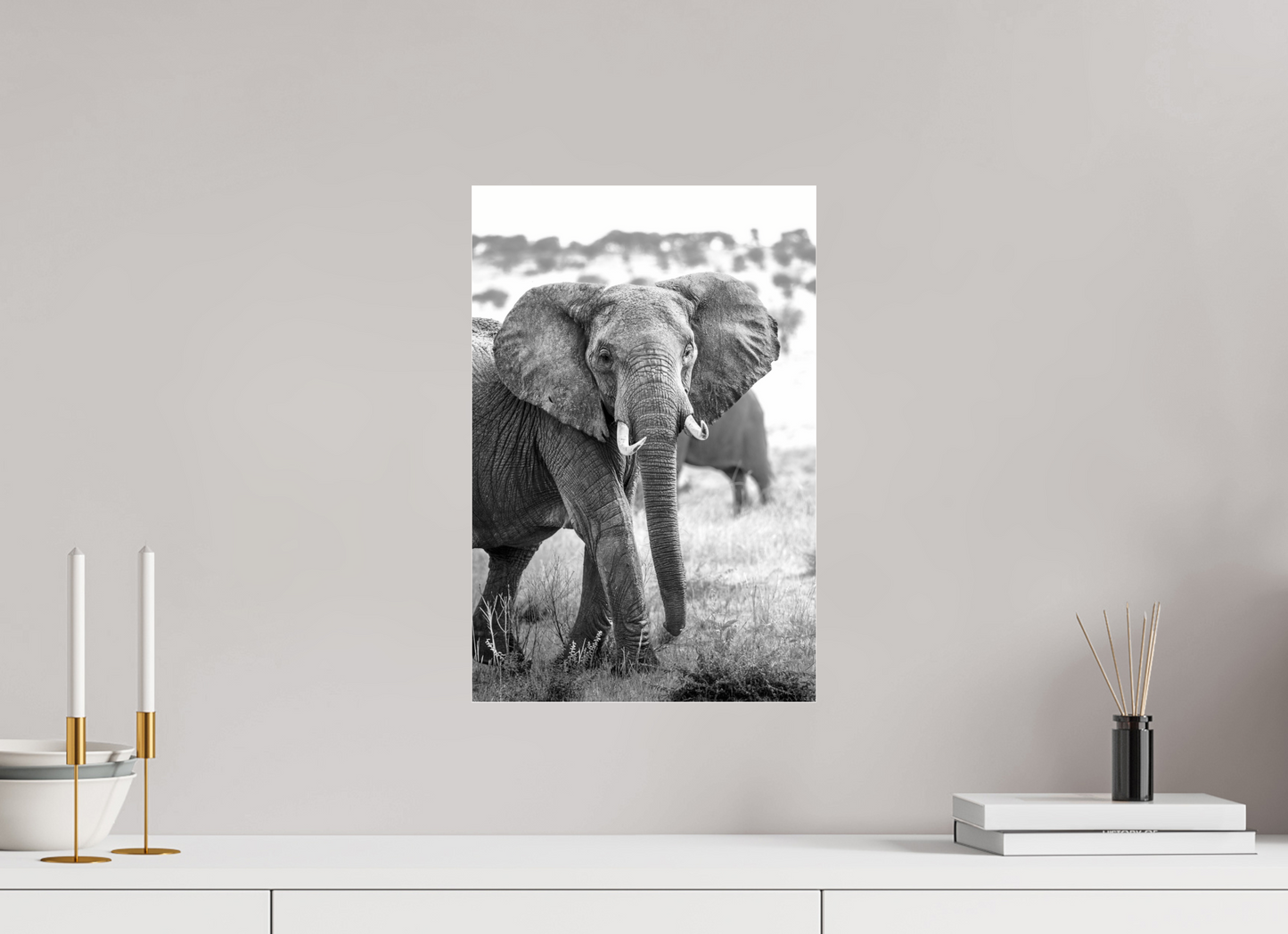 Elephant Portrait from the Serengeti
