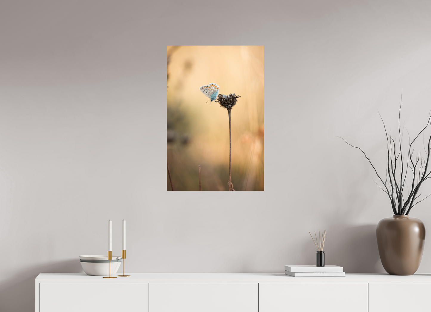 Sunset Stillness – Common Blue Butterfly