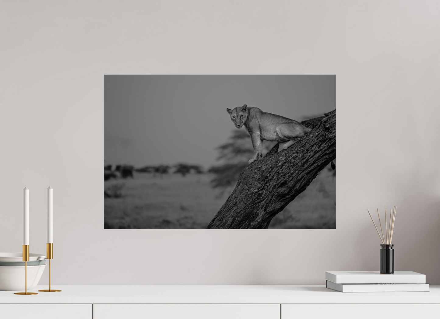 “Twilight Watch” – Lioness at Dusk