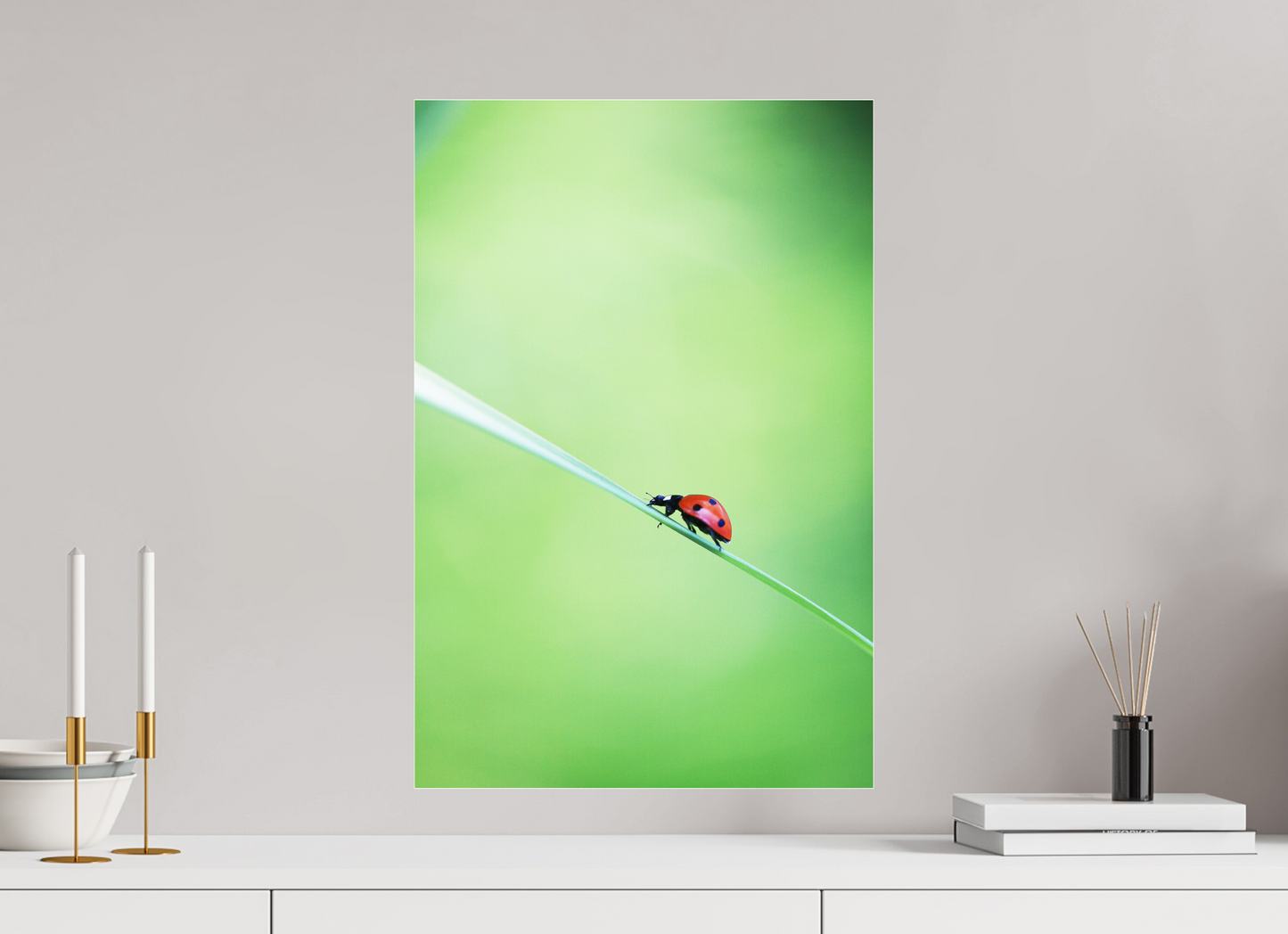 Burst of Life – Vibrant Ladybug