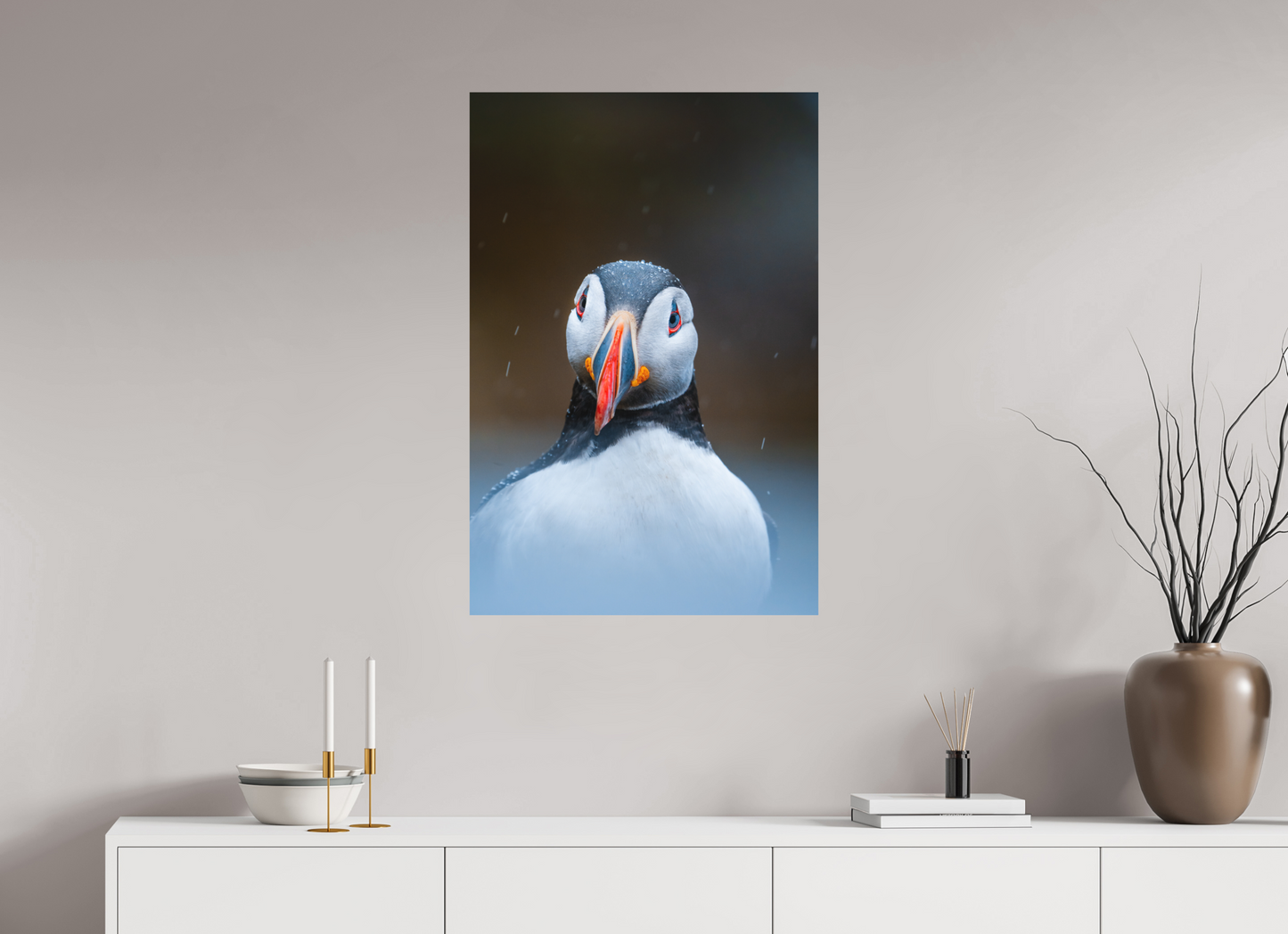 Edge of the North – Puffin under the rain