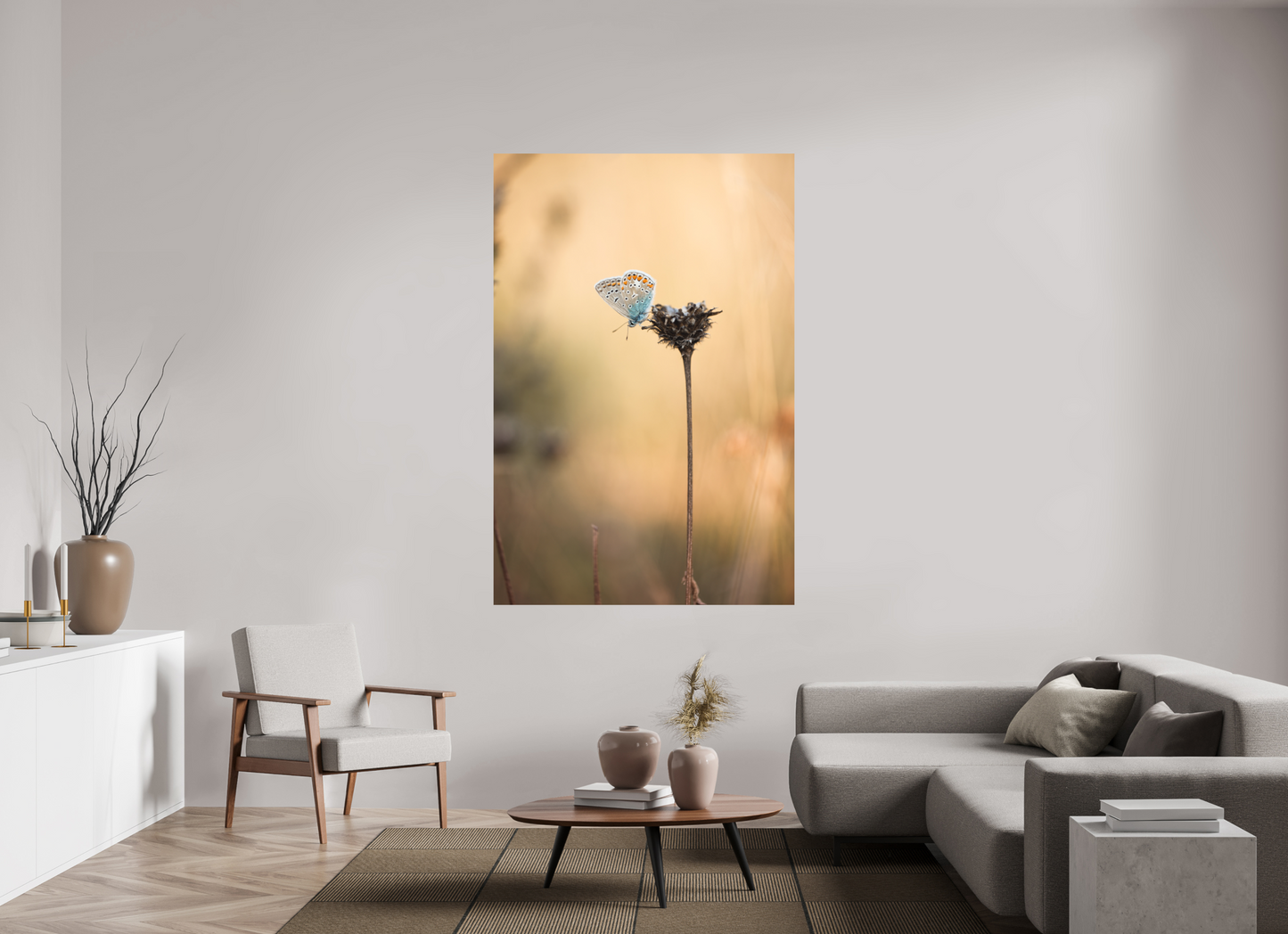 Sunset Stillness – Common Blue Butterfly