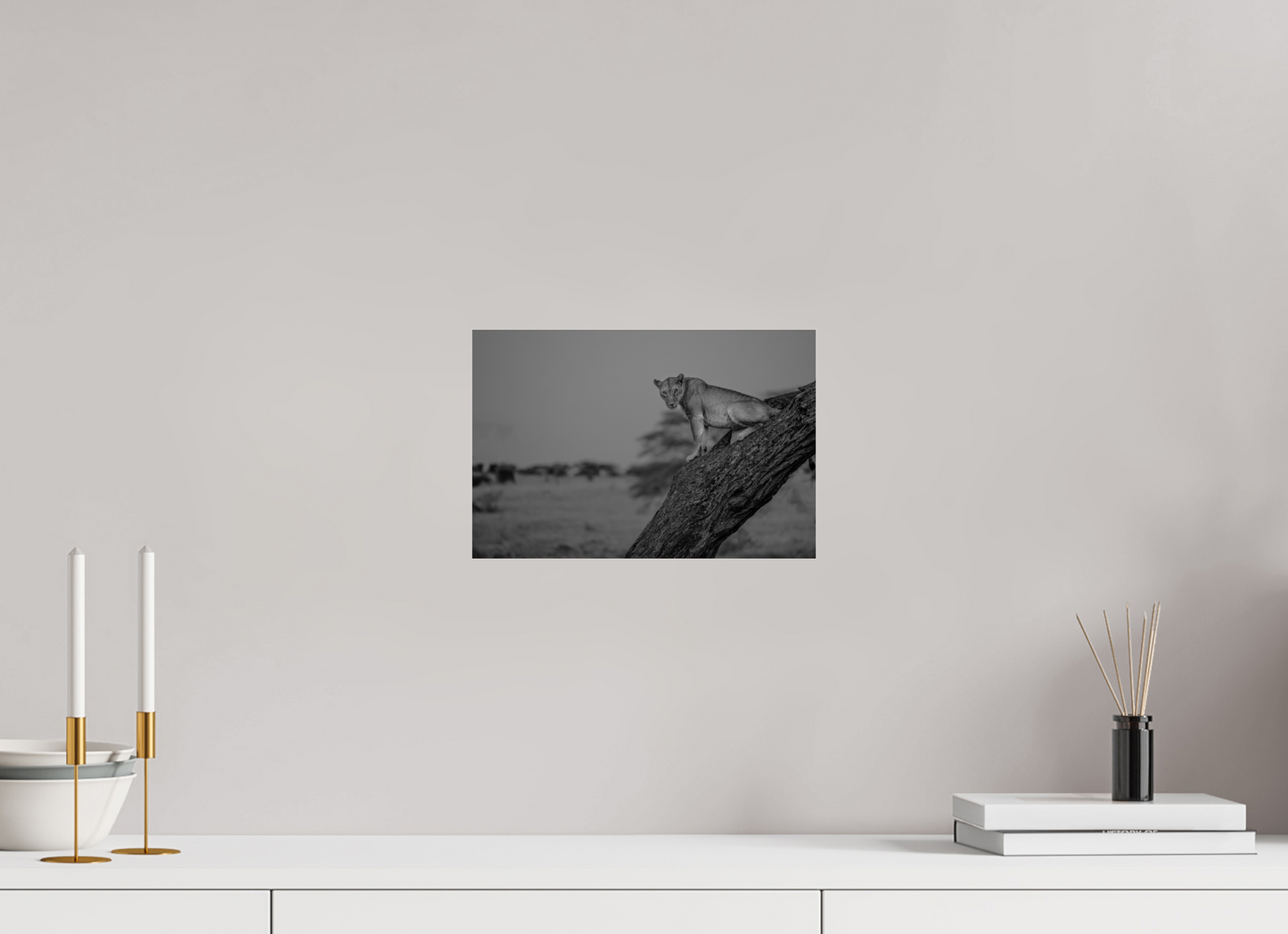 “Twilight Watch” – Lioness at Dusk