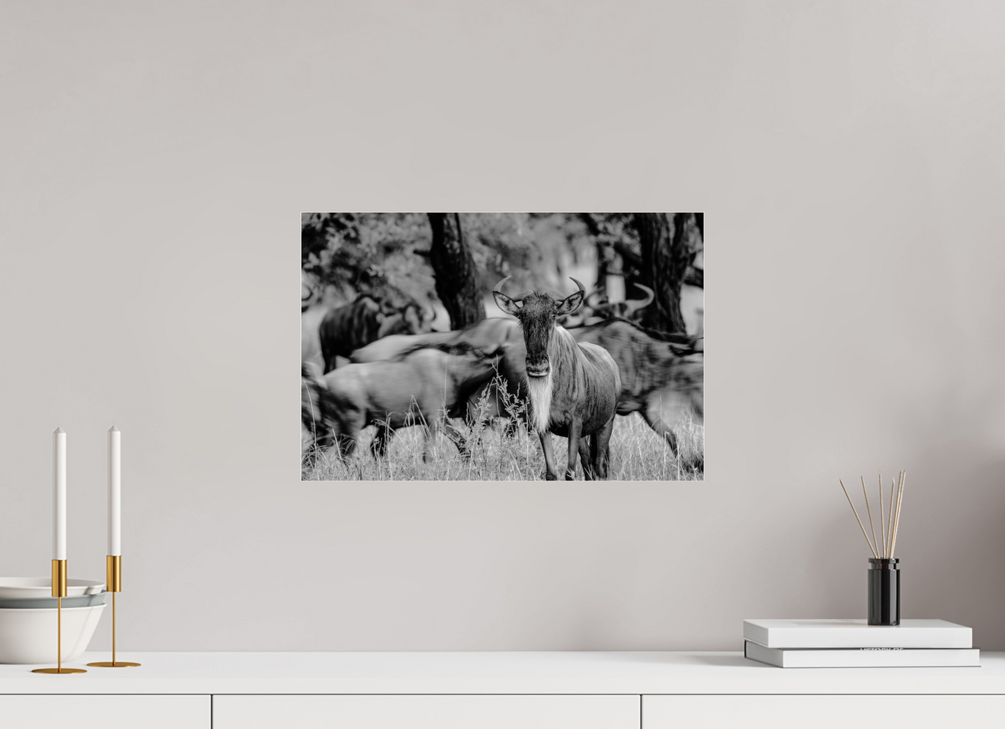 The Still One – Wildebeest in the Serengeti