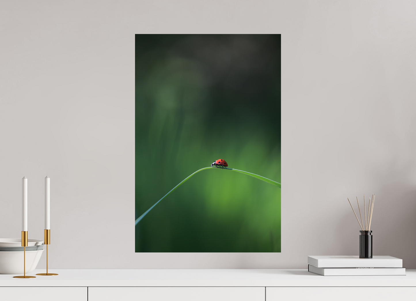 Red in the Green – Ladybug