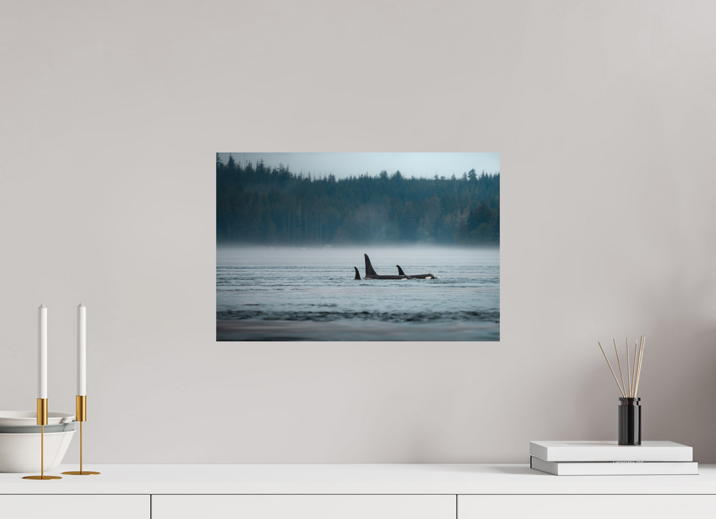 The Northern Current – Orca Pod