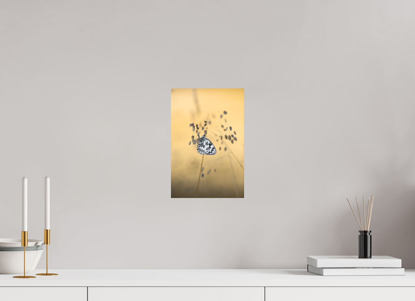 “Poetry in Pattern” – Marbled White Butterfly Macro