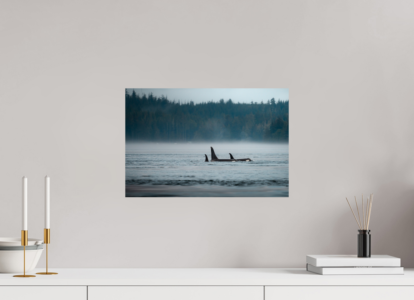 The Northern Current – Orca Pod