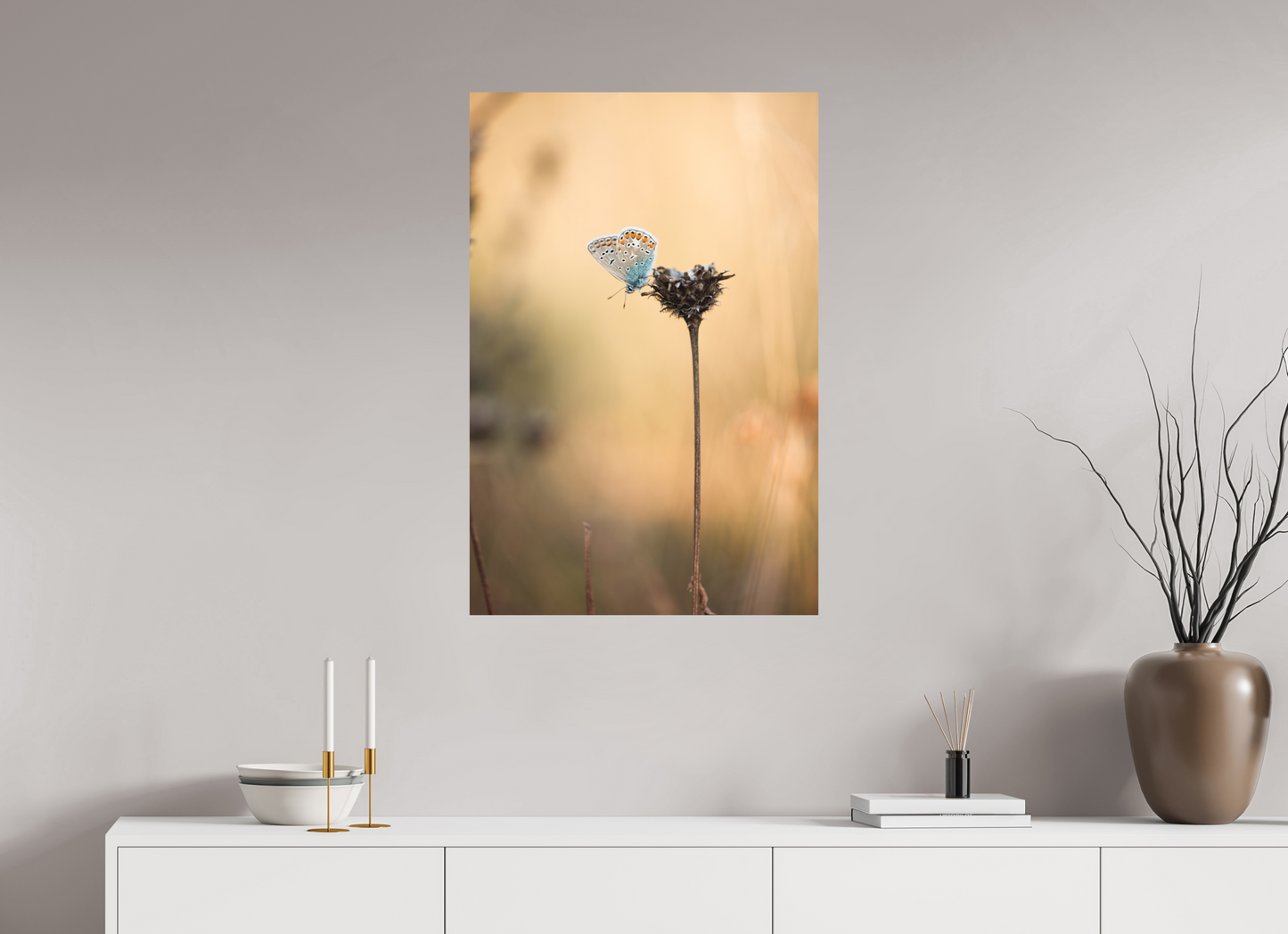 Sunset Stillness – Common Blue Butterfly