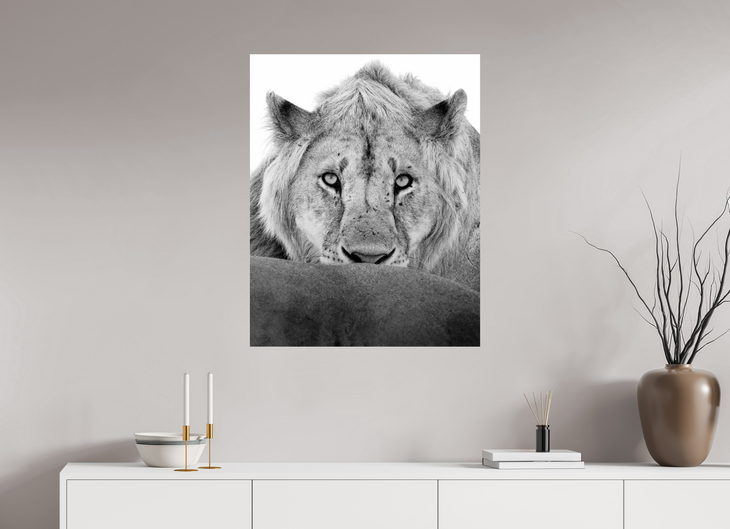 “The Stare” – Black & White Lion Fine Art Print