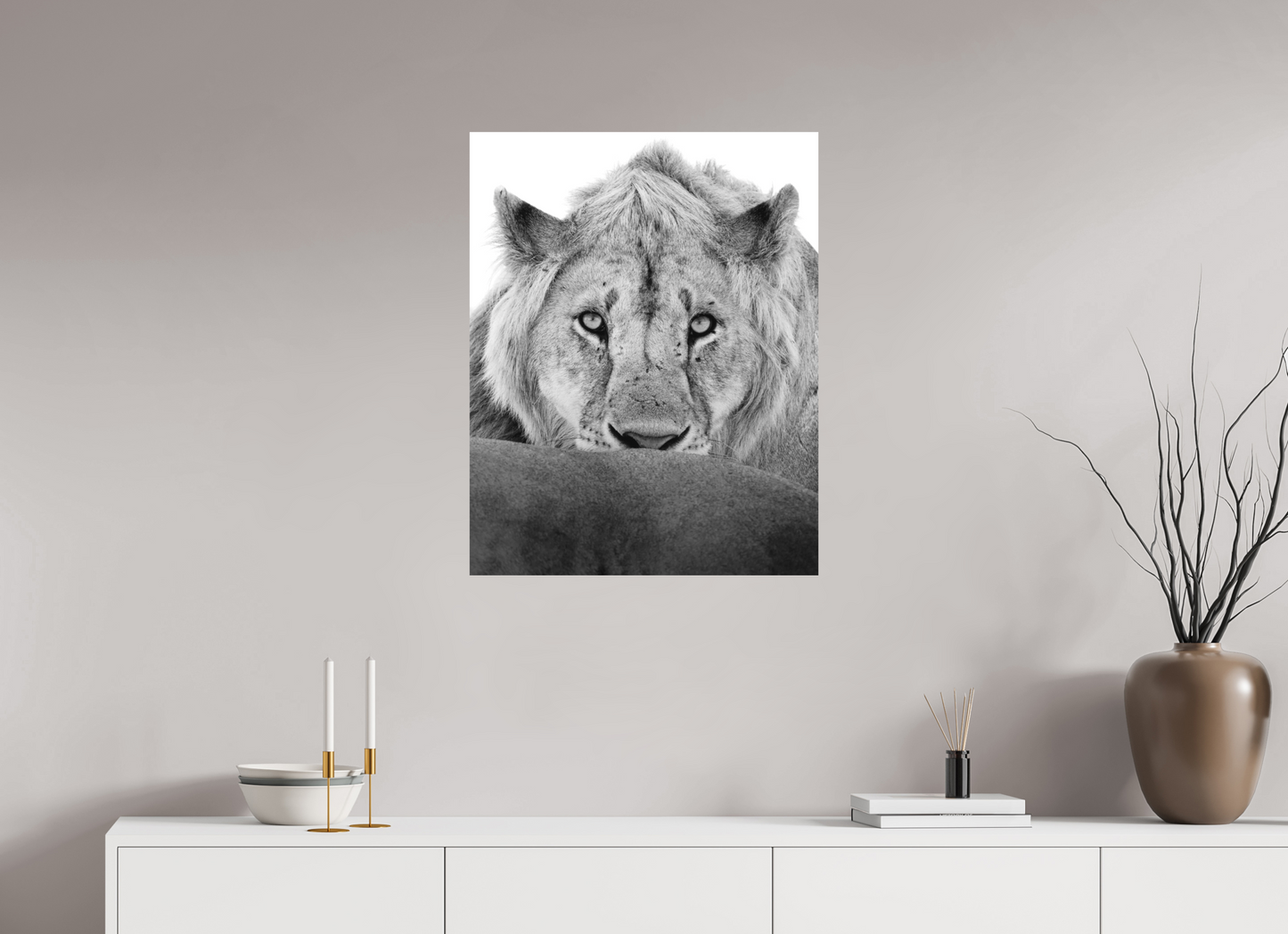 “The Stare” – Black & White Lion Fine Art Print