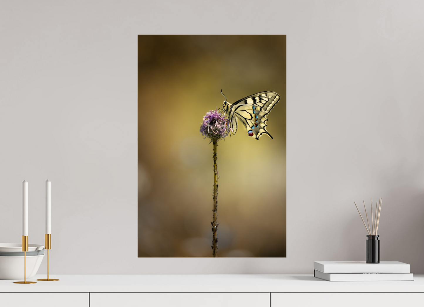 “Wings of Light” – Swallowtail Butterfly