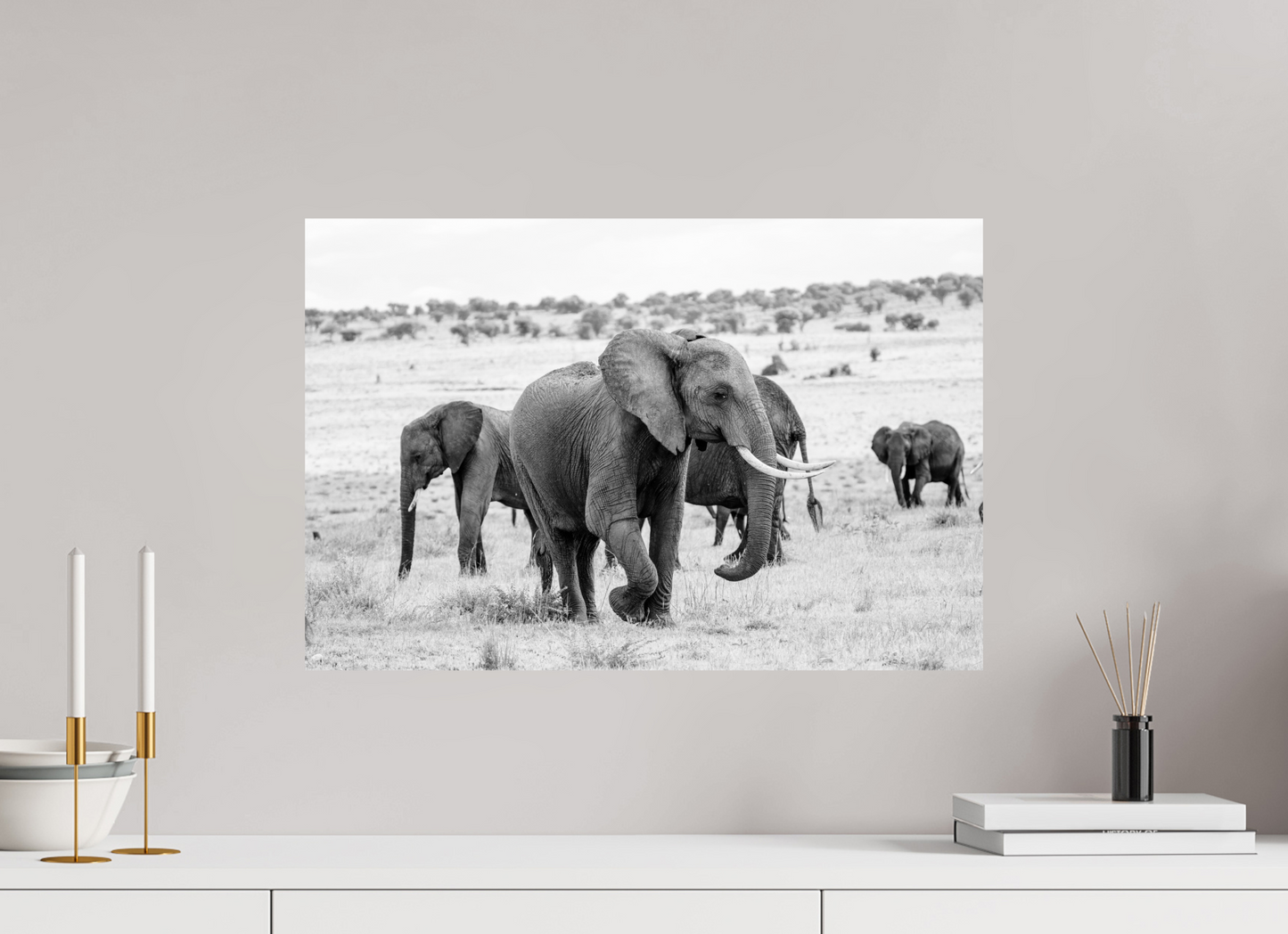 Grace in Numbers – Elephant Herd