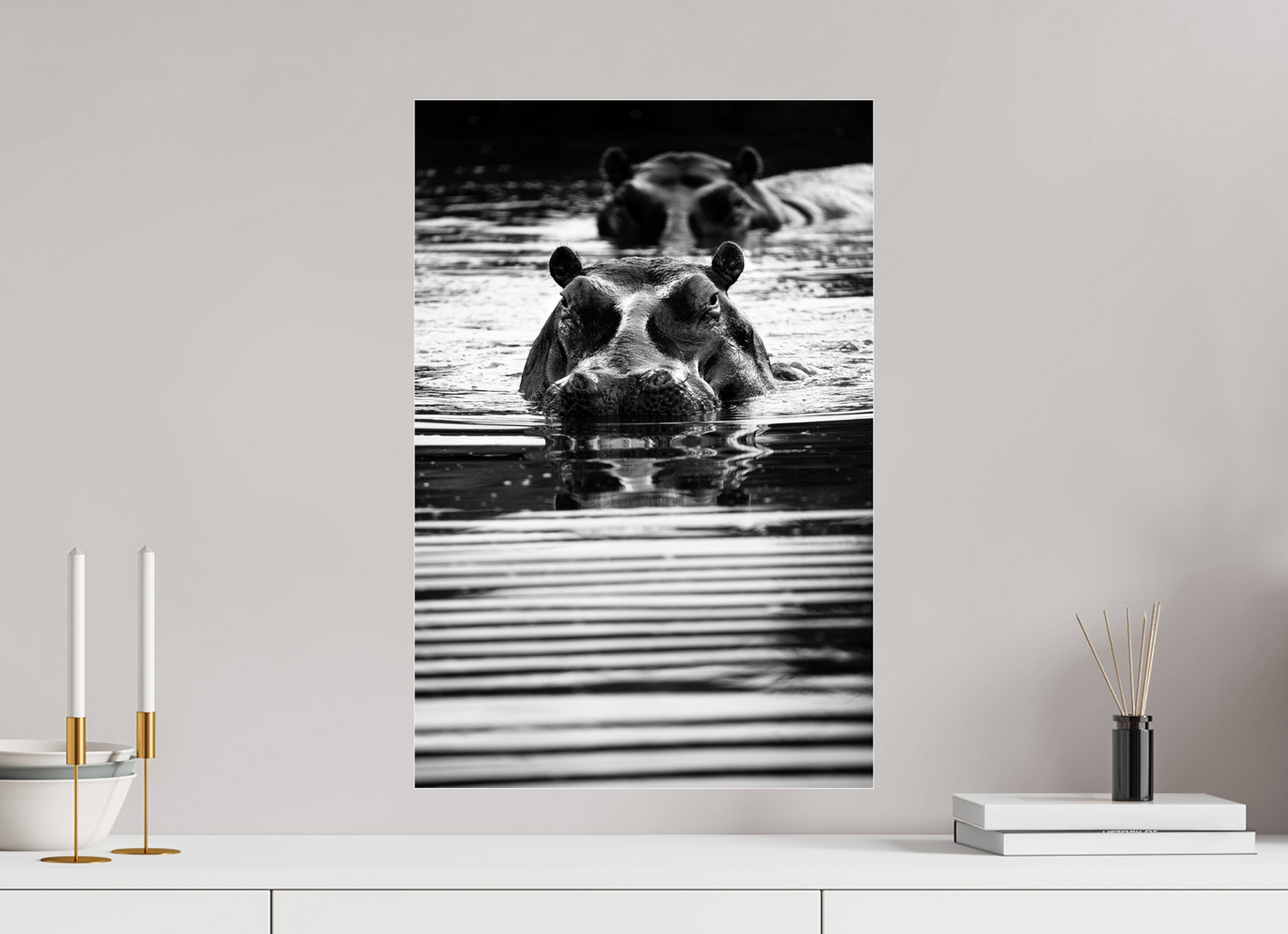 “Silent Watch” – Black & White Hippo Photography Print