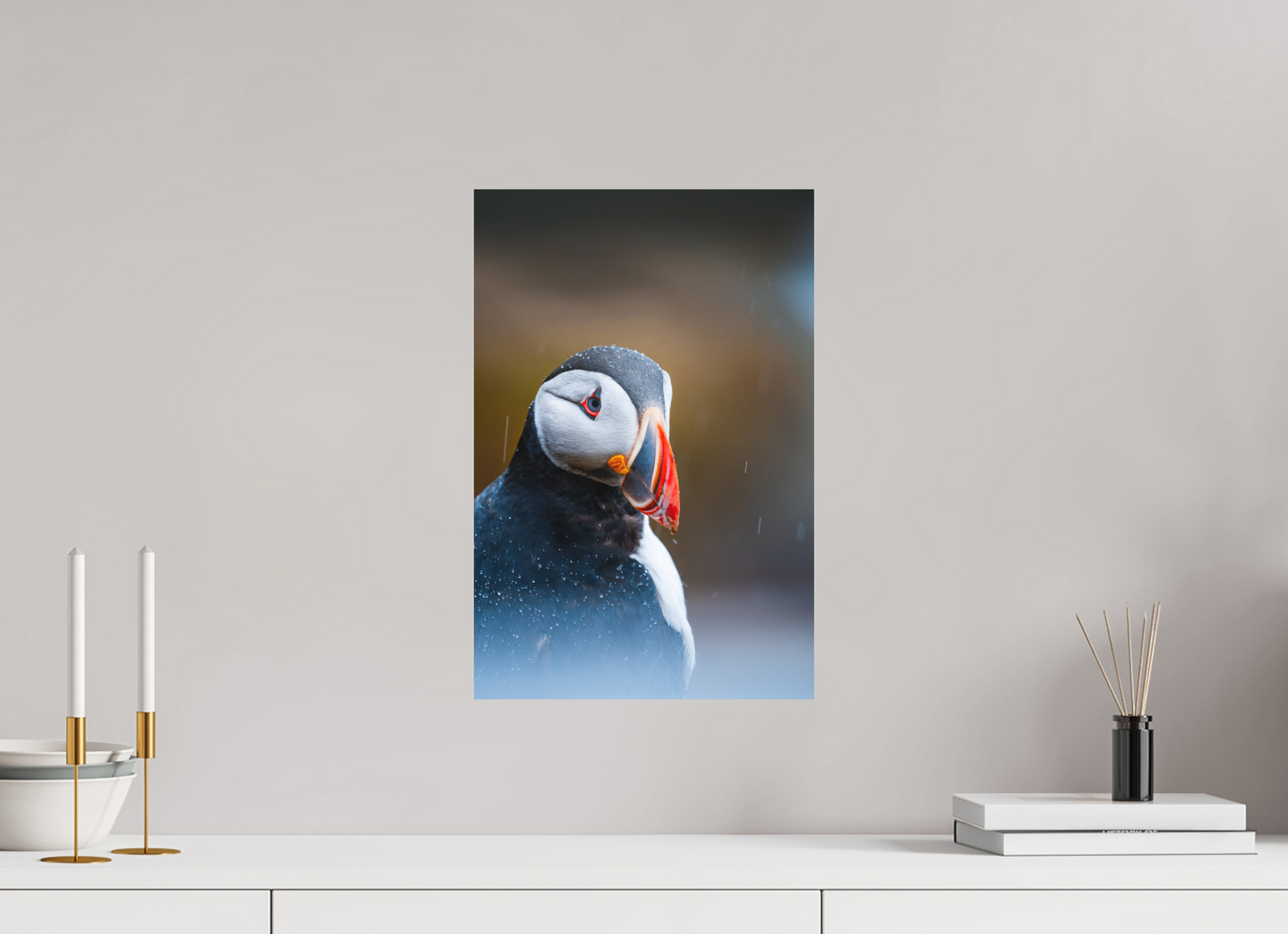 Atlantic Icon – Puffin Portrait