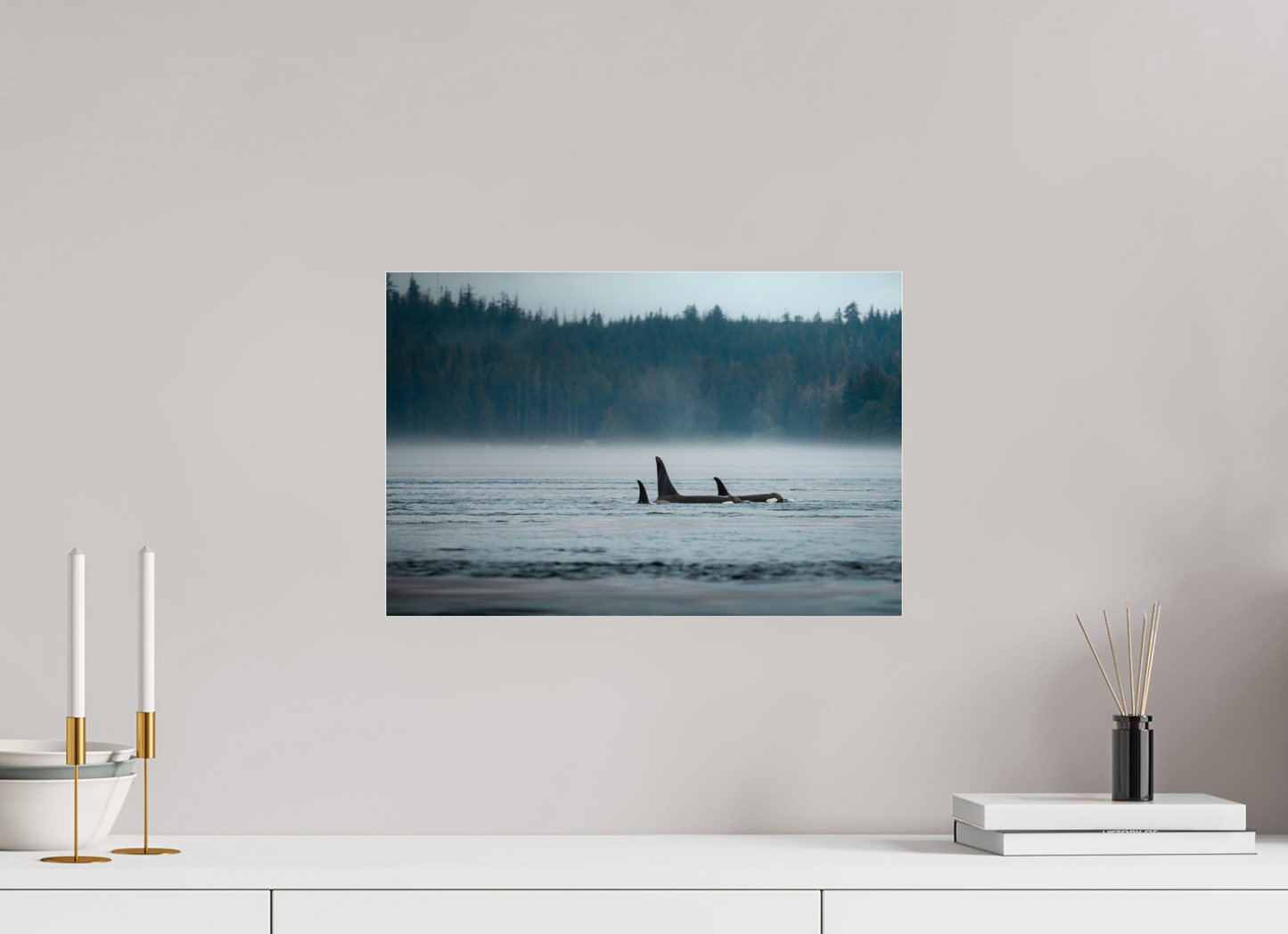 The Northern Current – Orca Pod