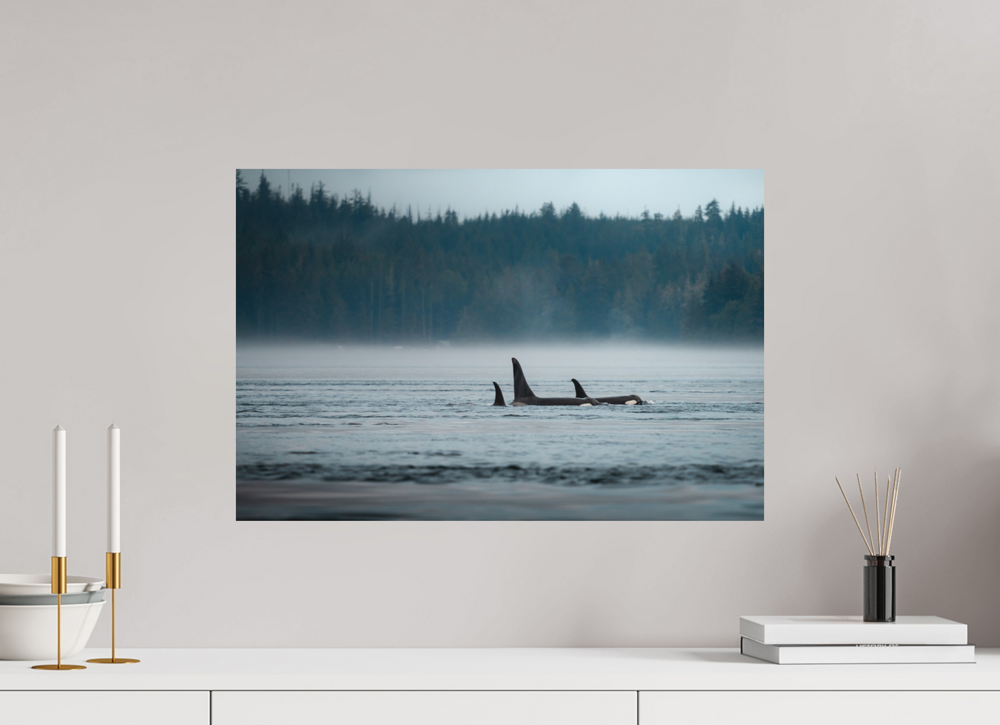 The Northern Current – Orca Pod