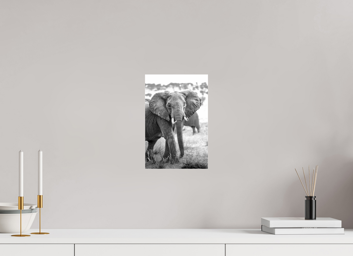 Elephant Portrait from the Serengeti