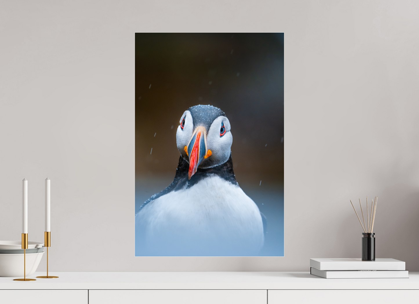 Edge of the North – Puffin under the rain