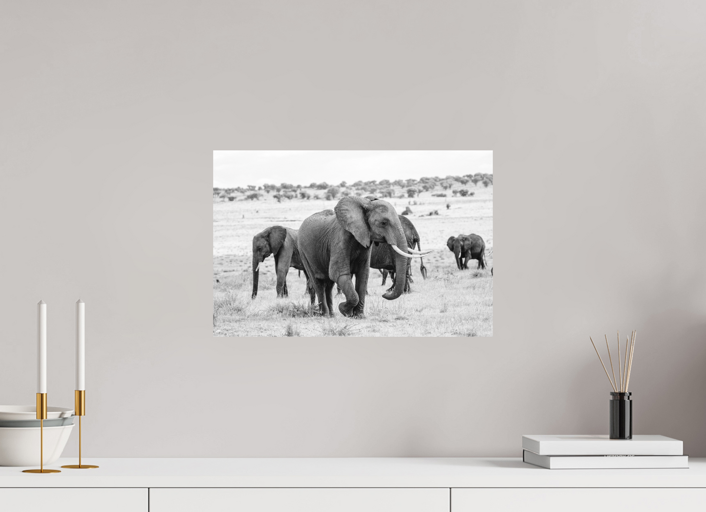 Grace in Numbers – Elephant Herd