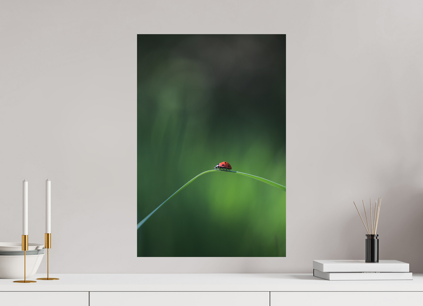 Red in the Green – Ladybug
