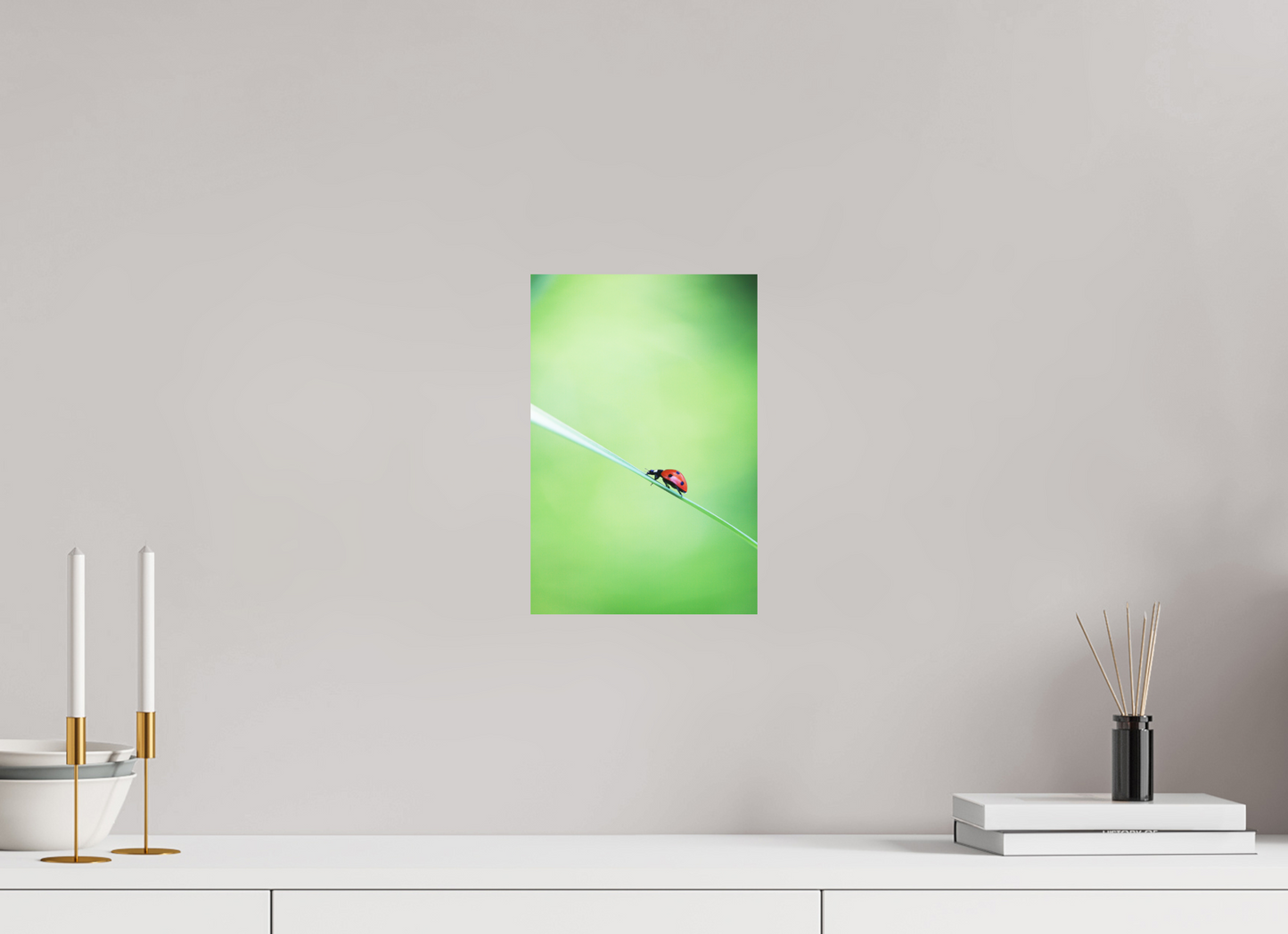 Burst of Life – Vibrant Ladybug