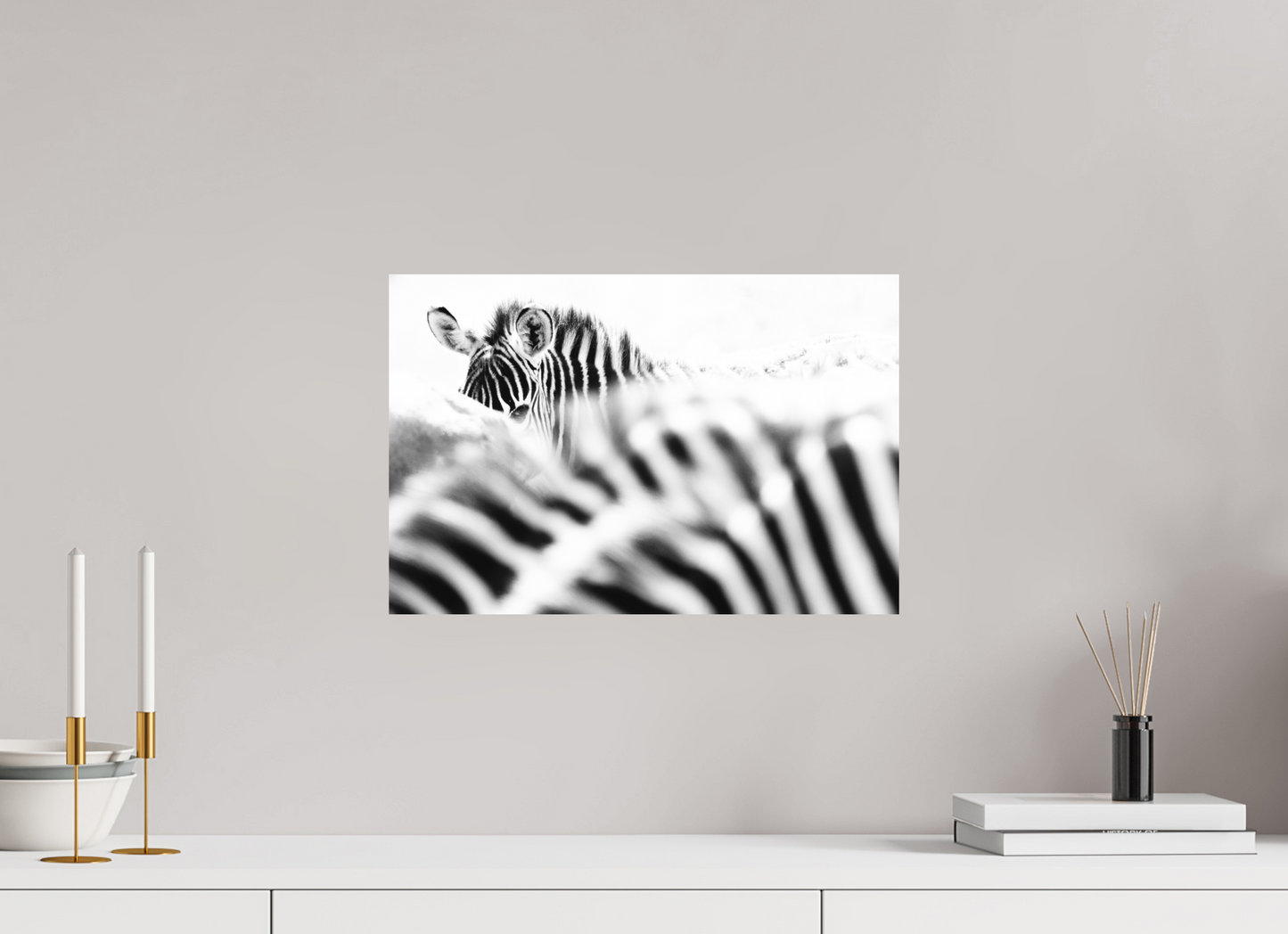 “Hidden in Stripes” – Black & White Zebra Fine Art Print