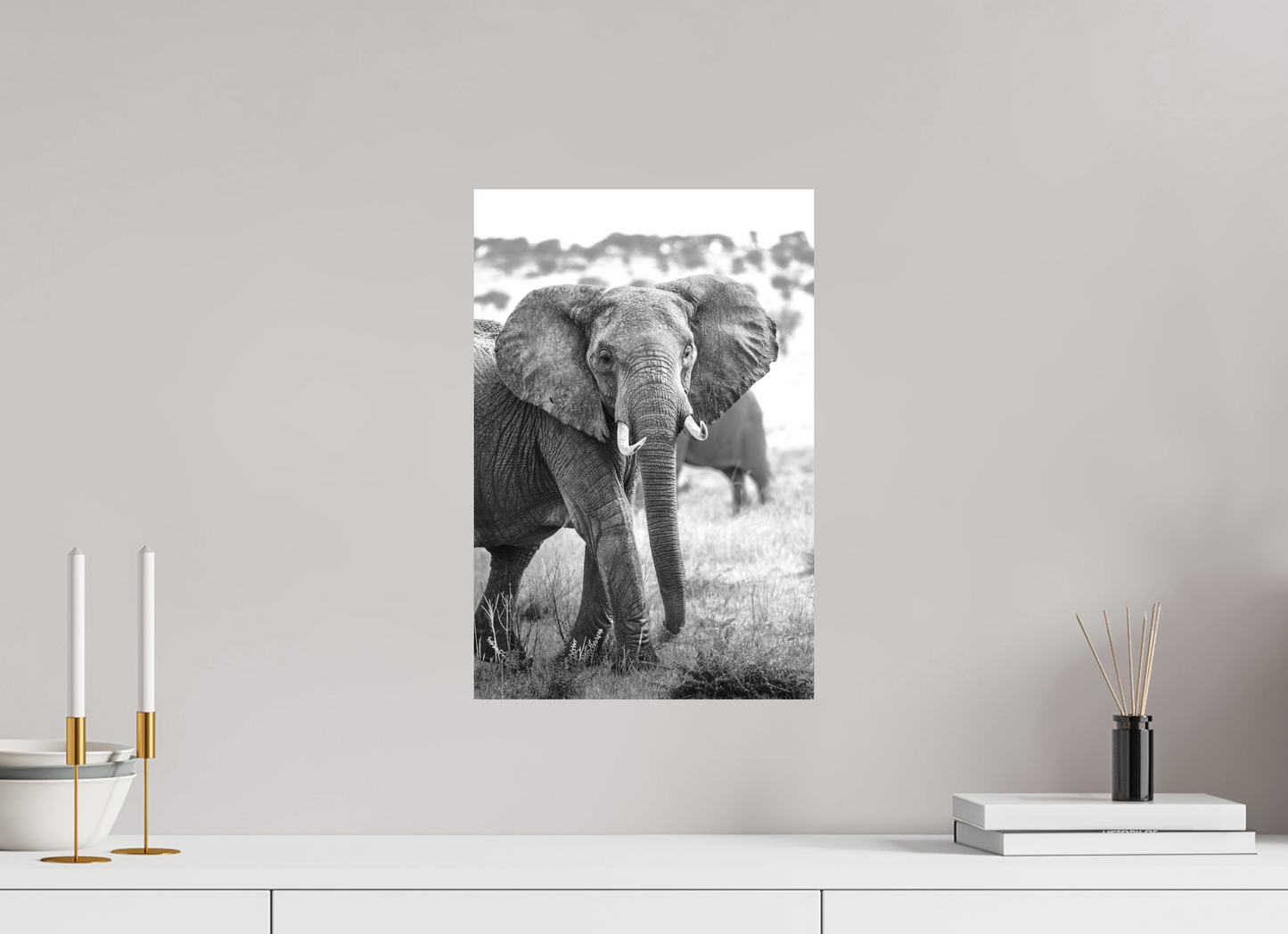 Elephant Portrait from the Serengeti