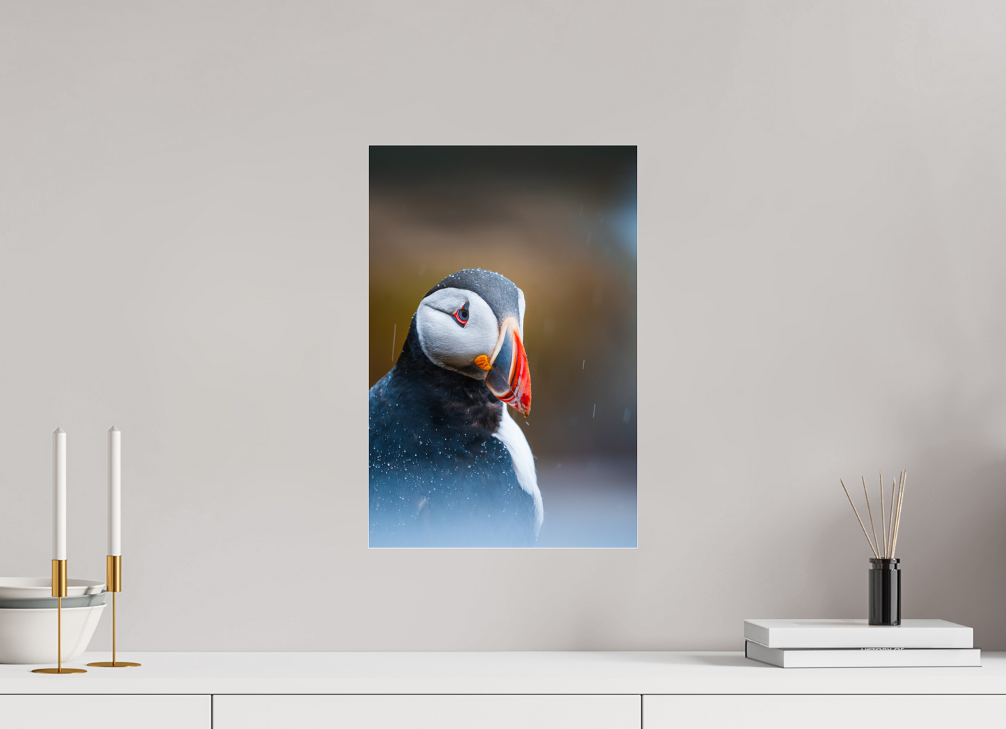 Atlantic Icon – Puffin Portrait