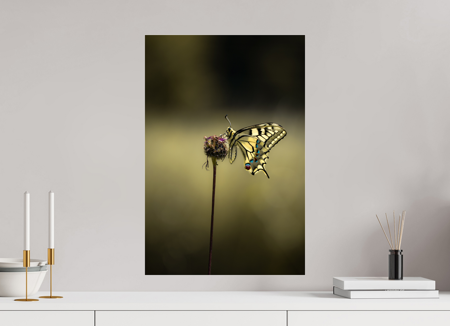 Swallowtail Serenity – Fine Art Butterfly Print