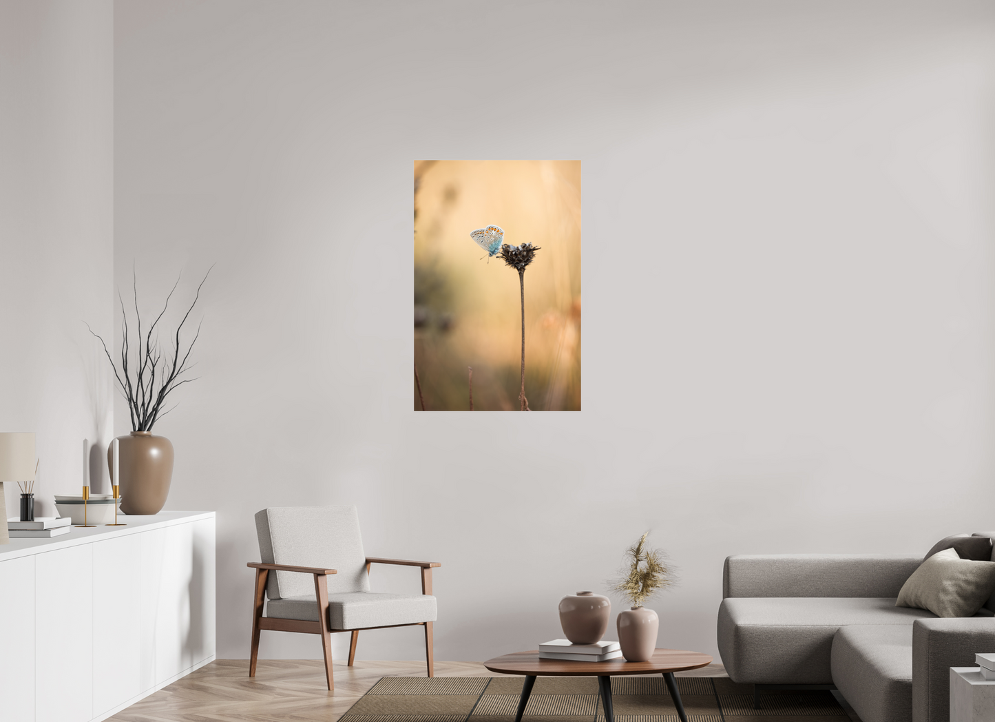 Sunset Stillness – Common Blue Butterfly