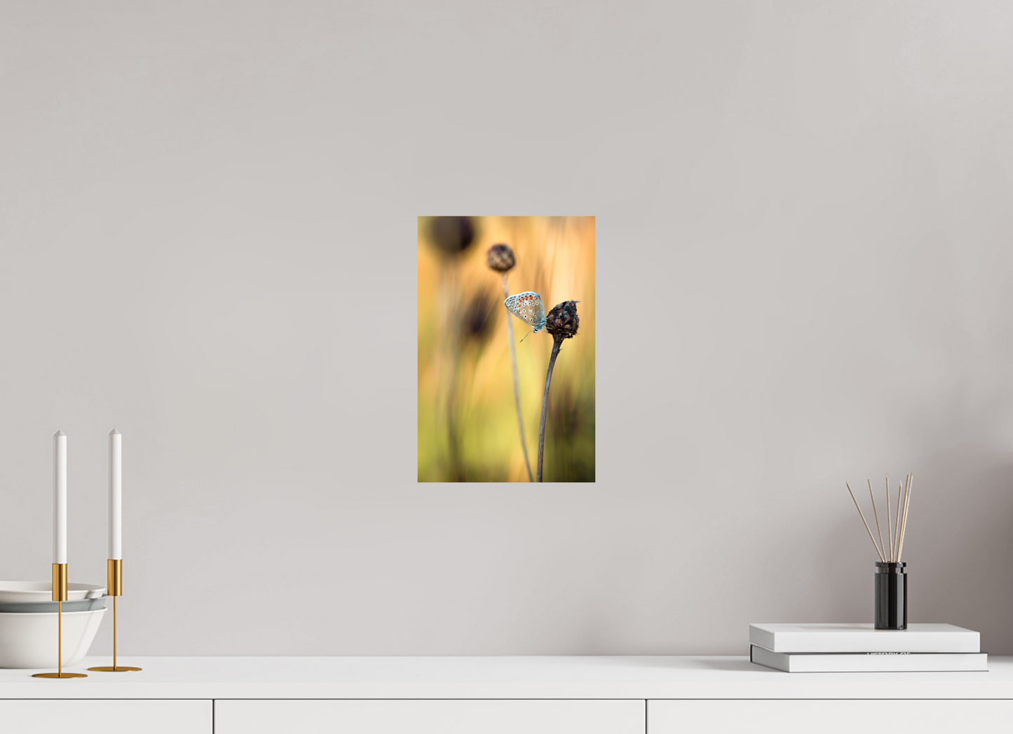 Glow in Blue – Common Blue Butterfly