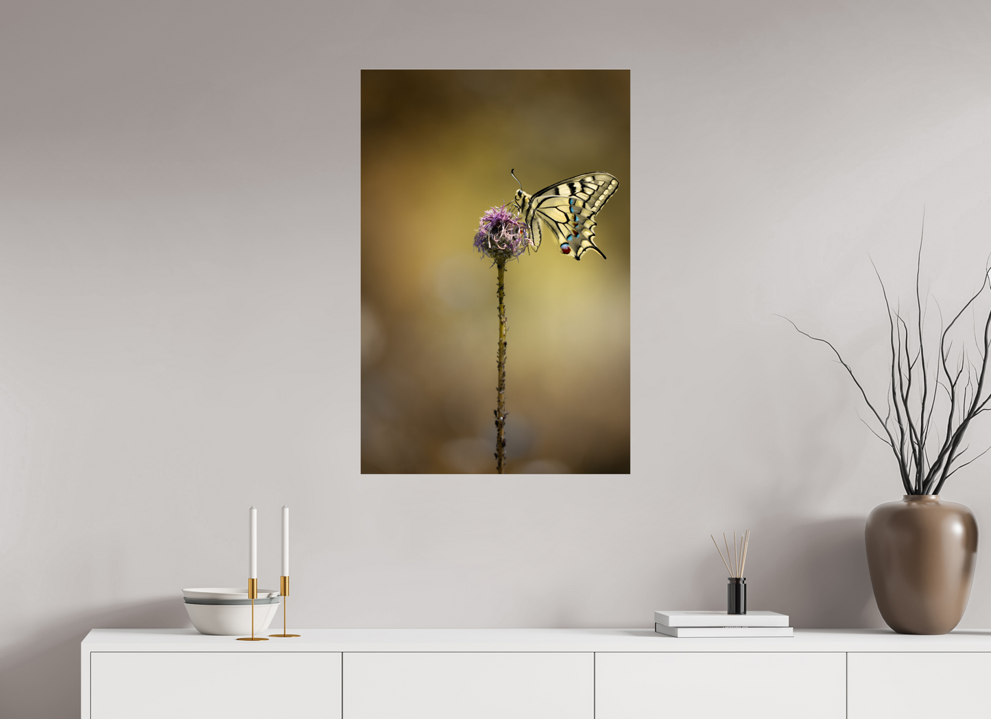 “Wings of Light” – Swallowtail Butterfly