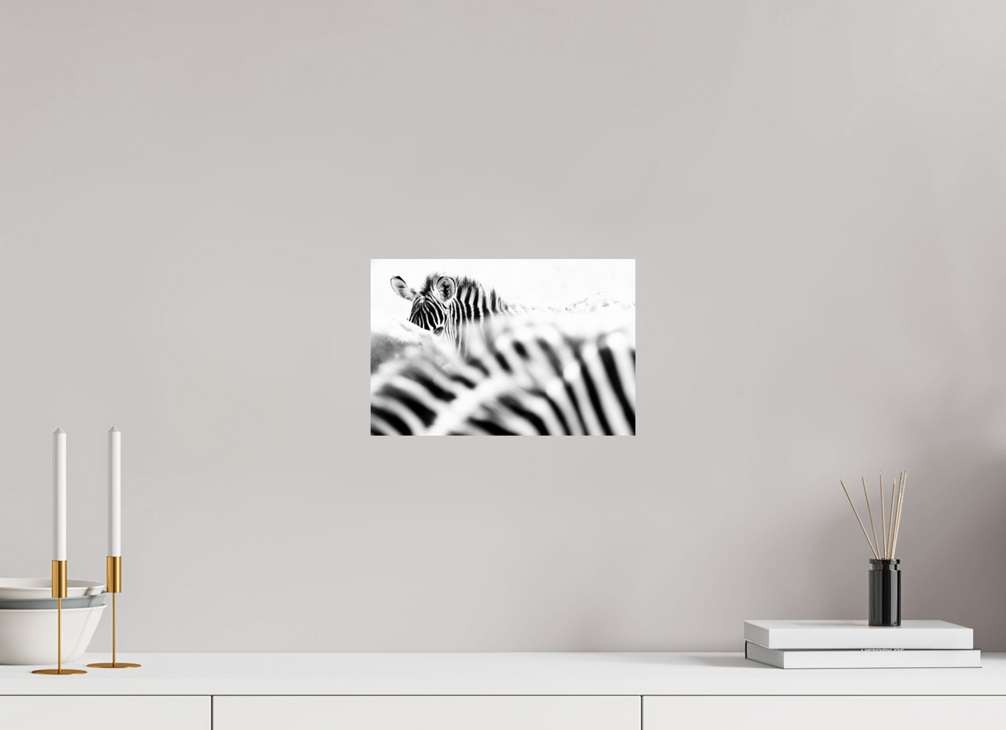 “Hidden in Stripes” – Black & White Zebra Fine Art Print