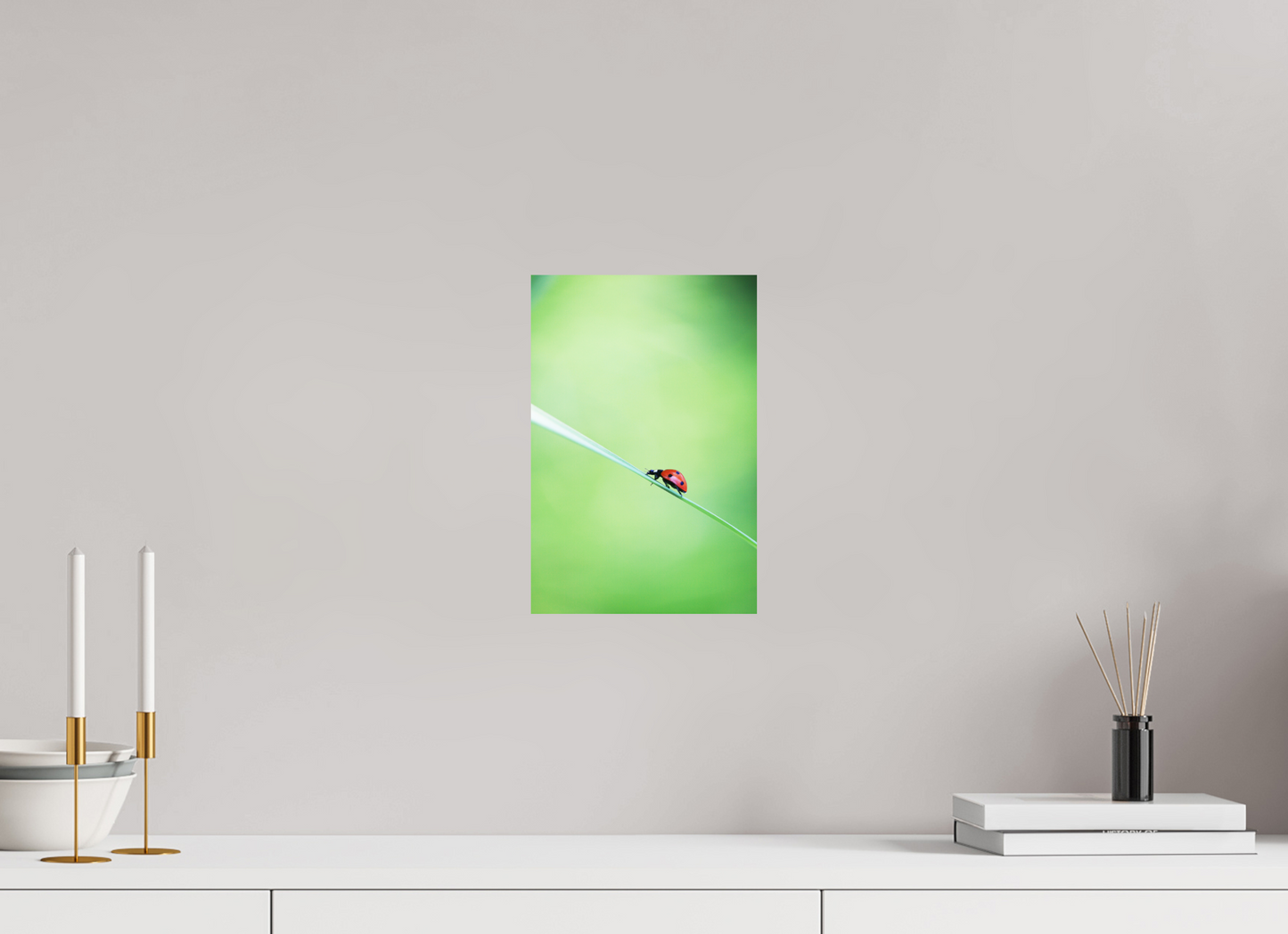 Burst of Life – Vibrant Ladybug