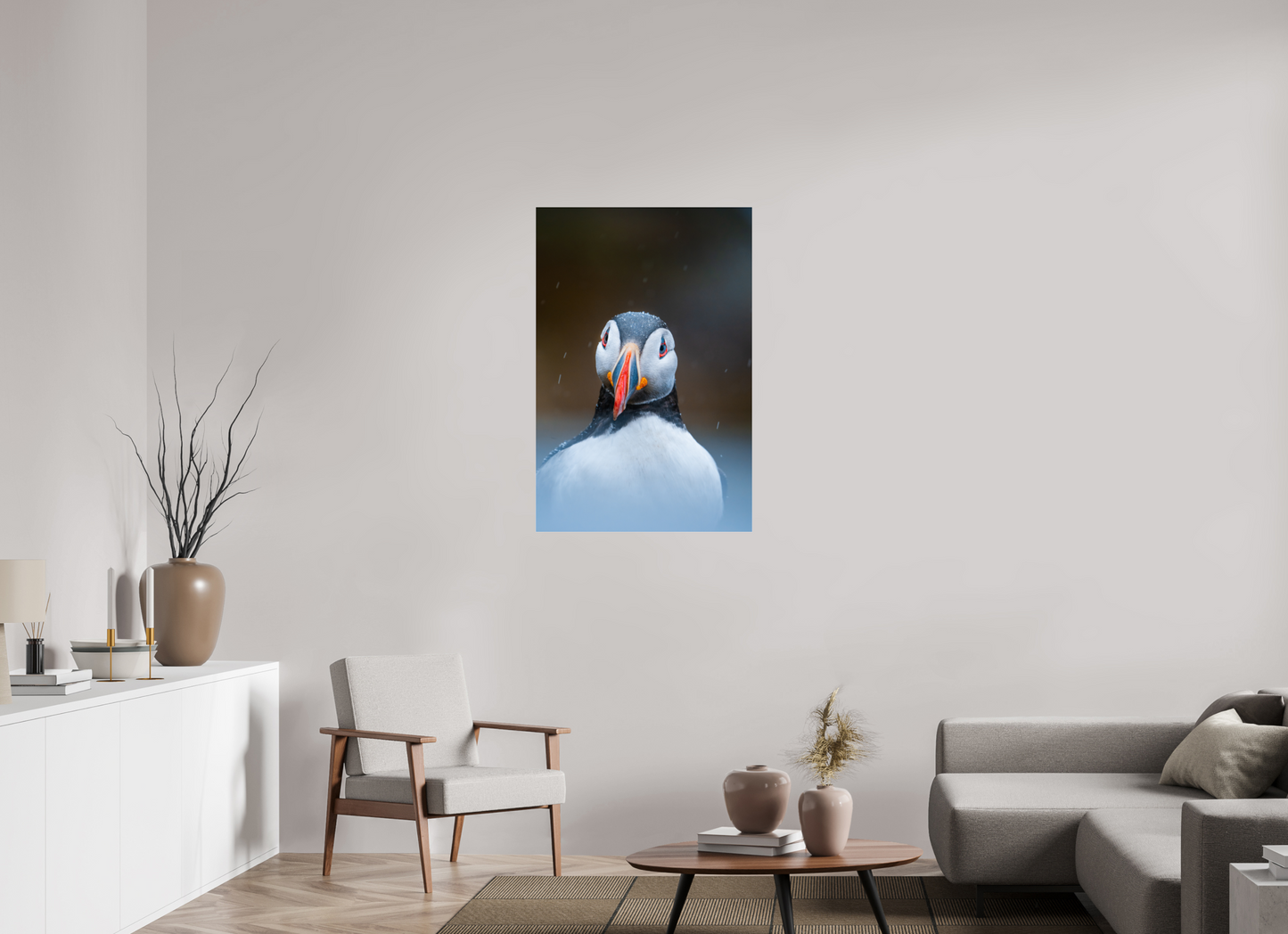 Edge of the North – Puffin under the rain