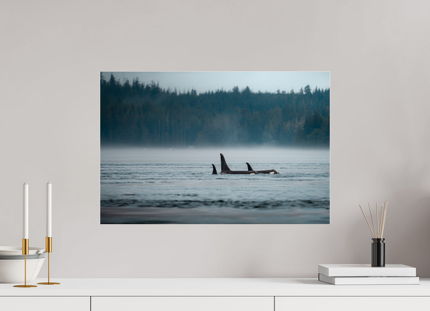 The Northern Current – Orca Pod