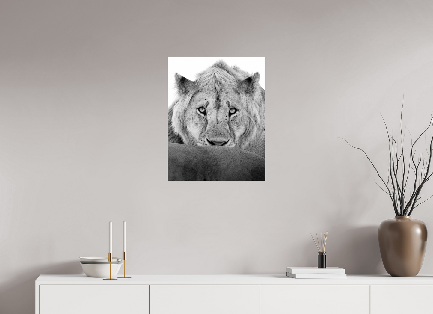 “The Stare” – Black & White Lion Fine Art Print