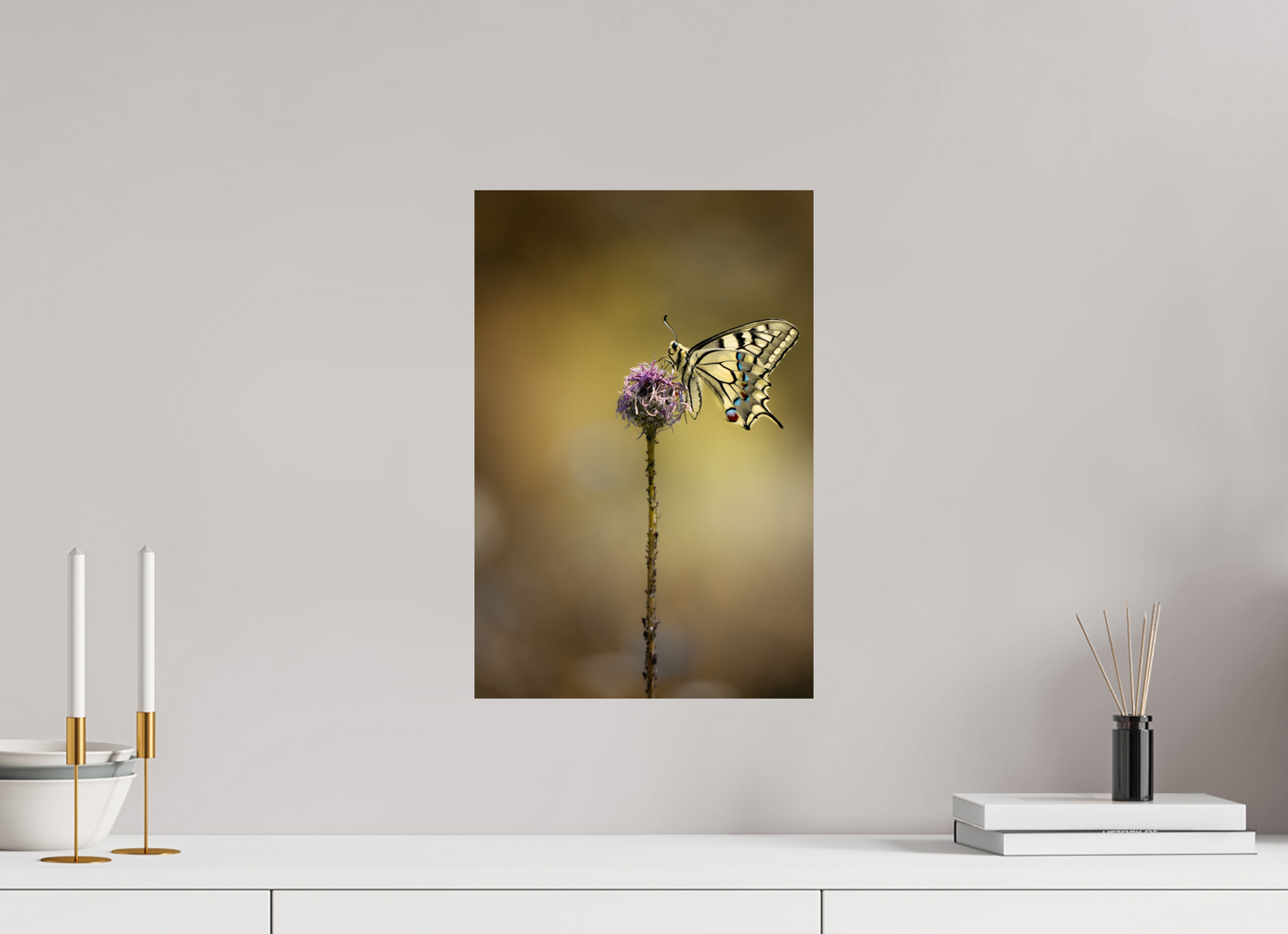 “Wings of Light” – Swallowtail Butterfly