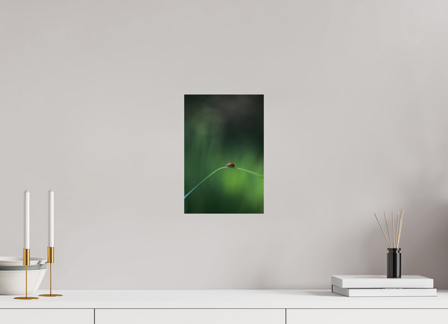 Red in the Green – Ladybug