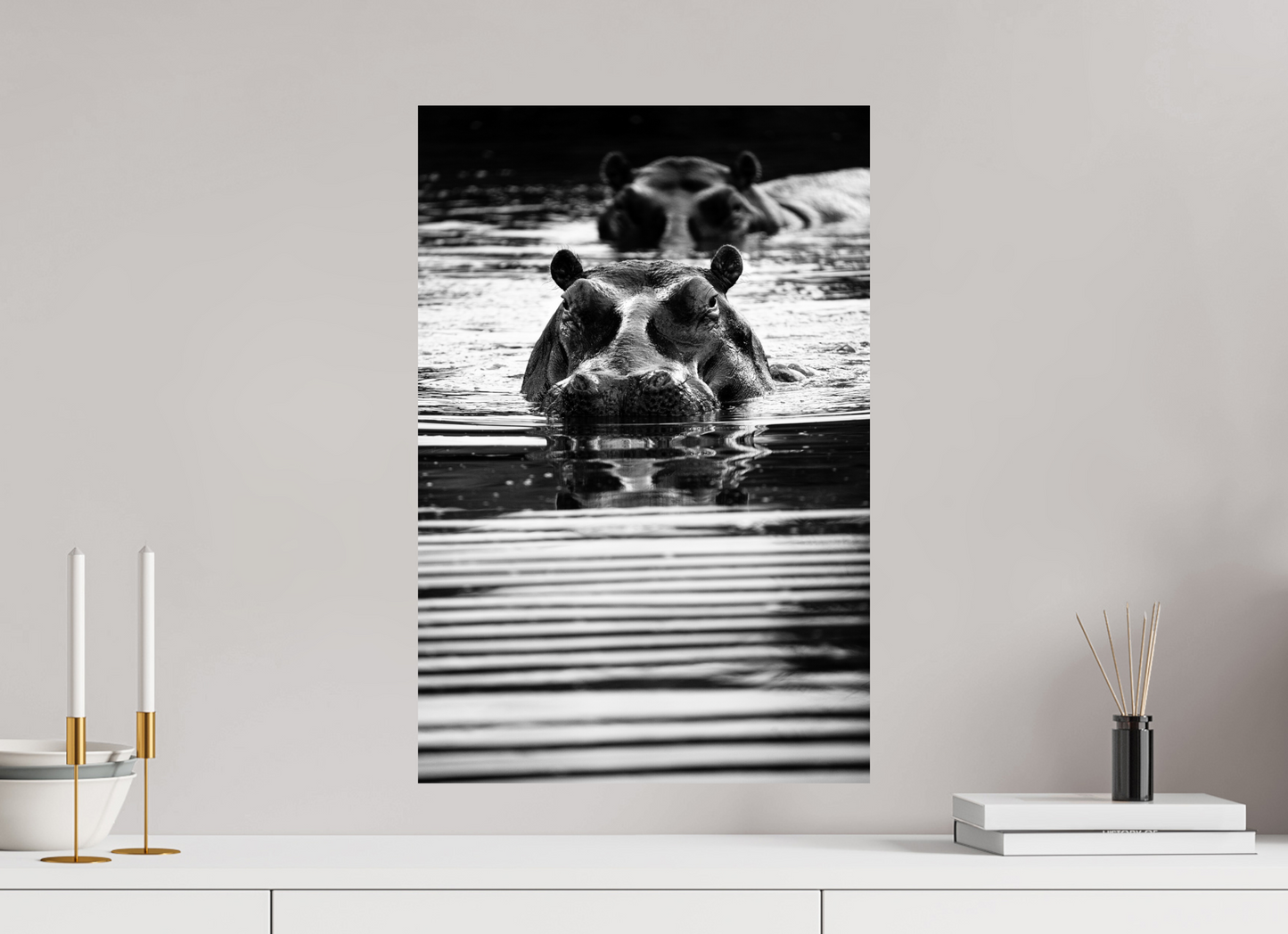 “Silent Watch” – Black & White Hippo Photography Print
