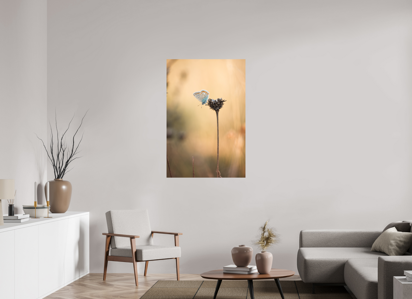 Sunset Stillness – Common Blue Butterfly