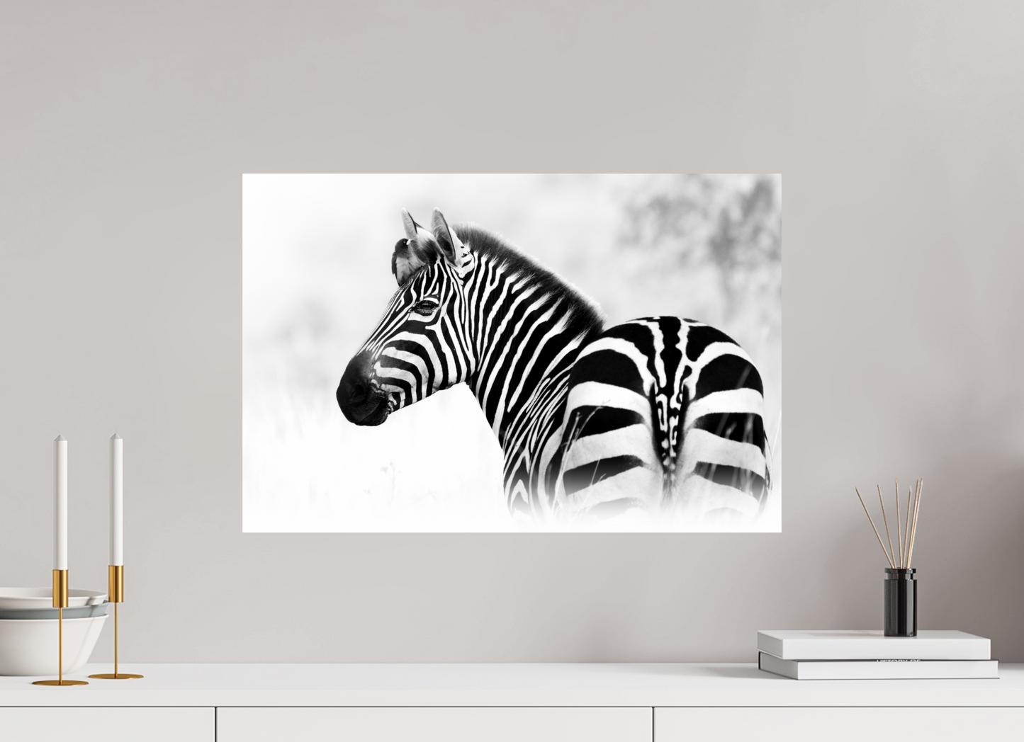 Unexpected Passenger – Zebra with Bird, Serengeti National Park
