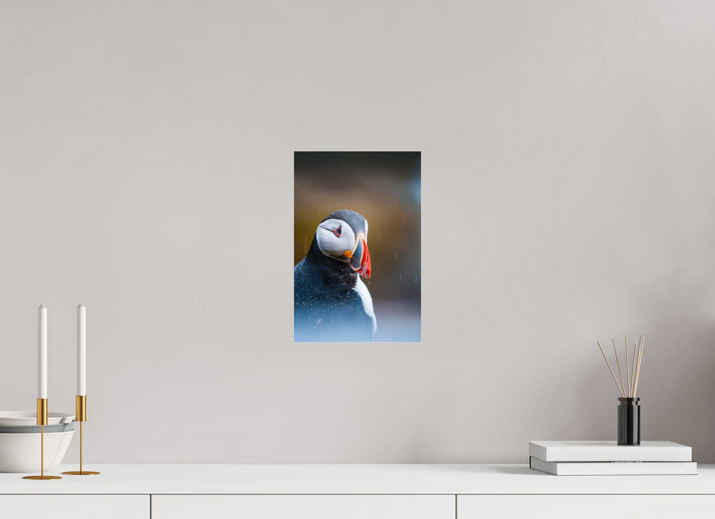 Atlantic Icon – Puffin Portrait
