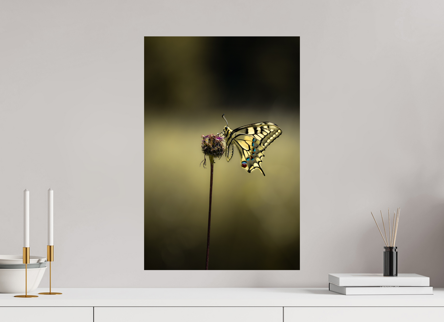 Swallowtail Serenity – Fine Art Butterfly Print