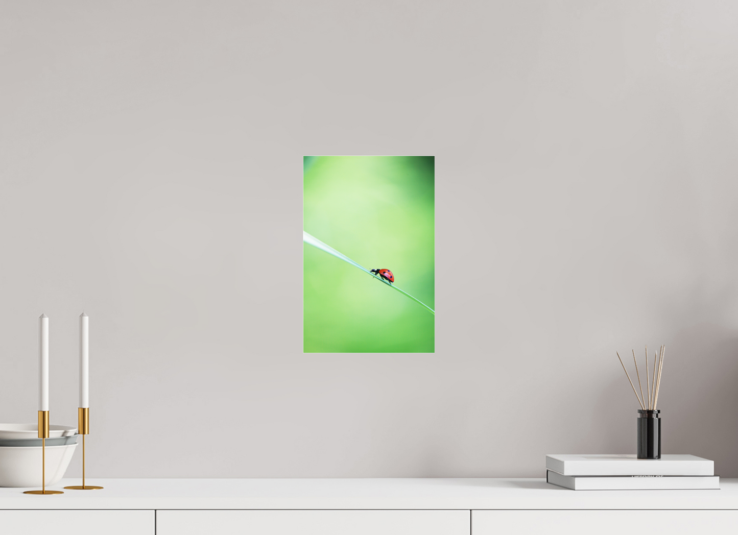 Burst of Life – Vibrant Ladybug