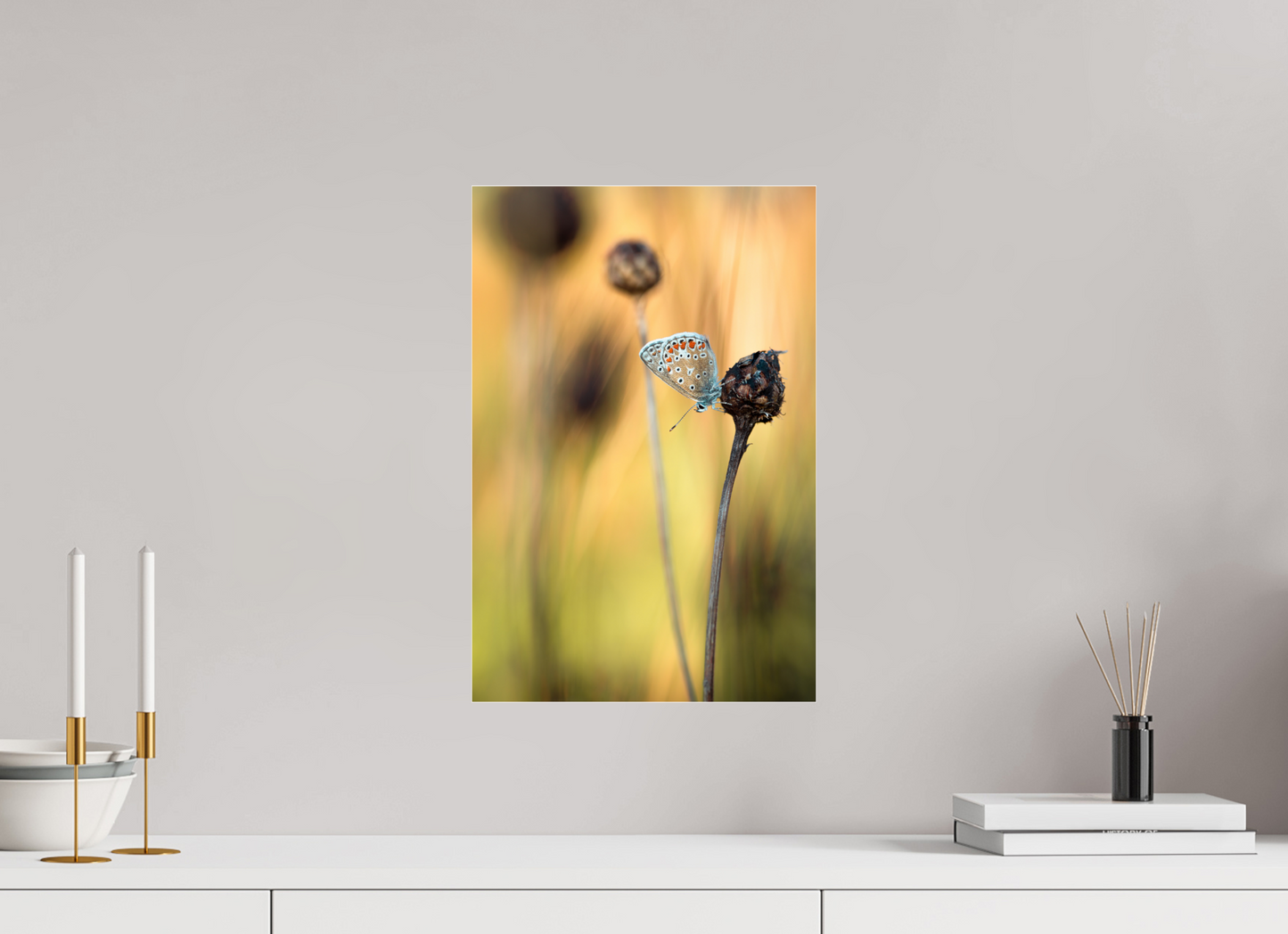 Glow in Blue – Common Blue Butterfly