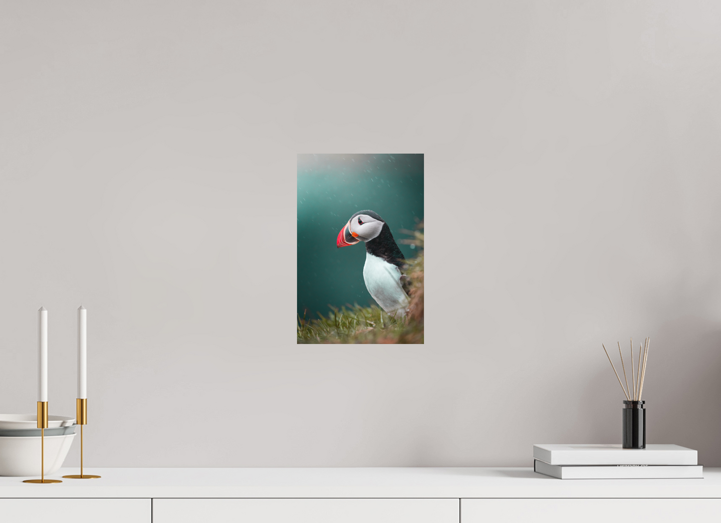 Windswept Watcher – Puffin in Iceland