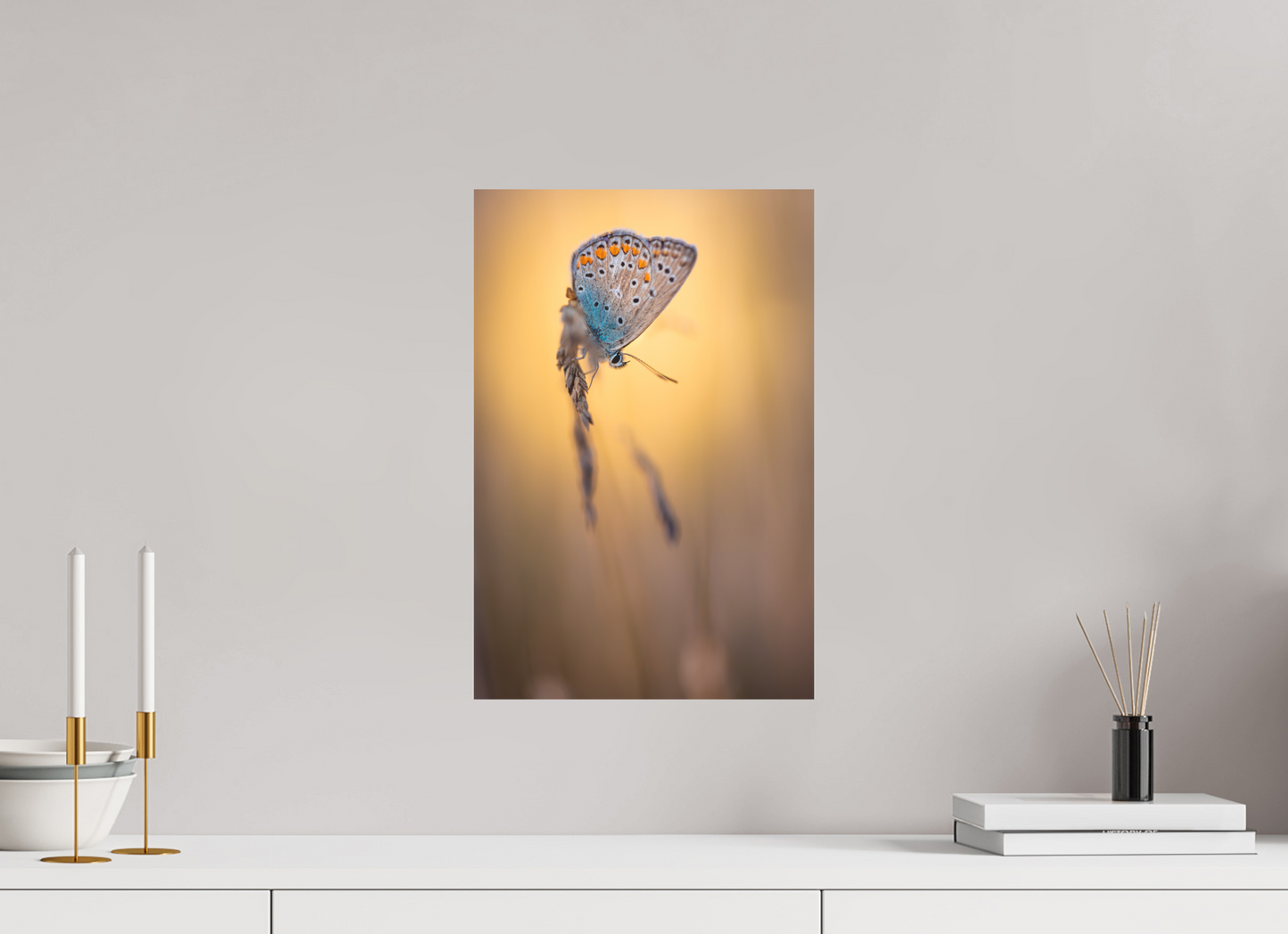 Evening Balance” – Common Blue Butterfly