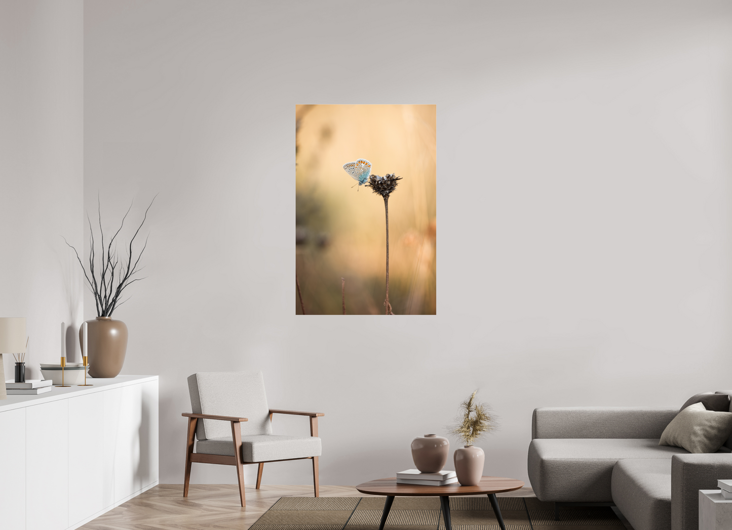 Sunset Stillness – Common Blue Butterfly